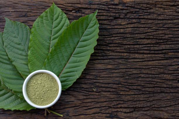 Your Guide to the Most Potent Trainwreck Kratom Available Today